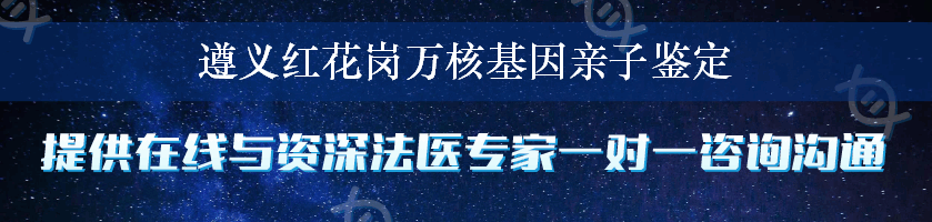 遵义红花岗万核基因亲子鉴定